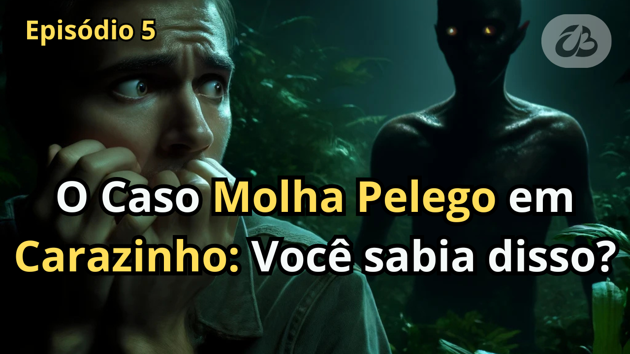 Episódio 5 - O Caso Molha Pelego em Carazinho: Você sabia disso?